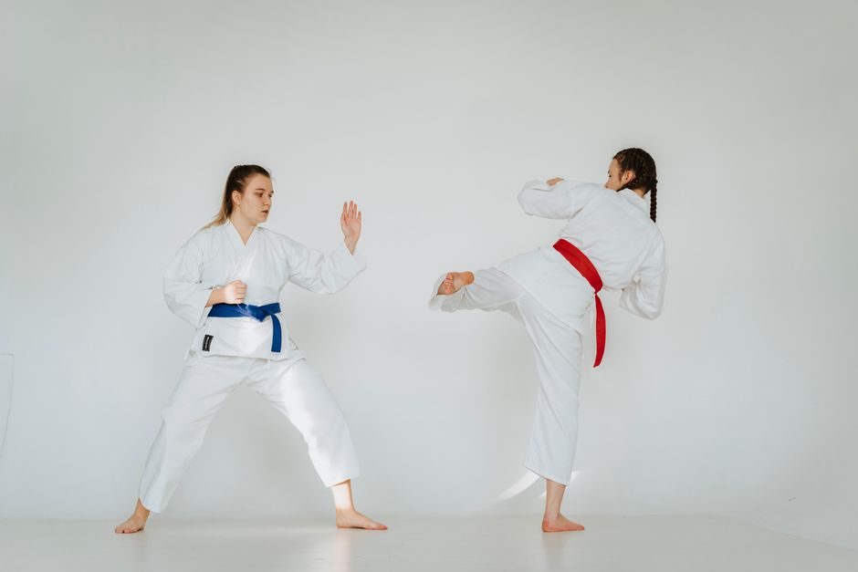 The Beginner Mindset in Martial Arts