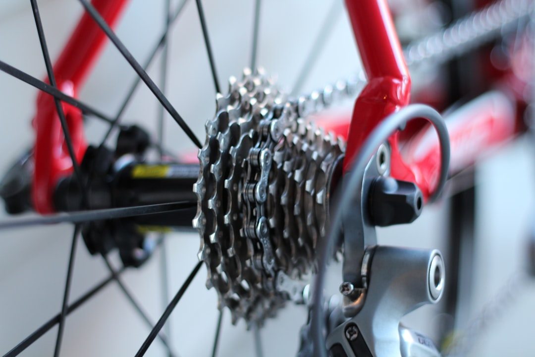 Bike Maintenance Every Rider Should Know
