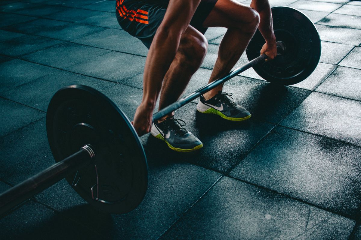 Fitness business and gym coaching platform