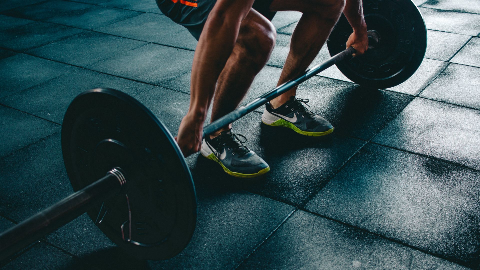 FitNFO fitness coaching dashboard