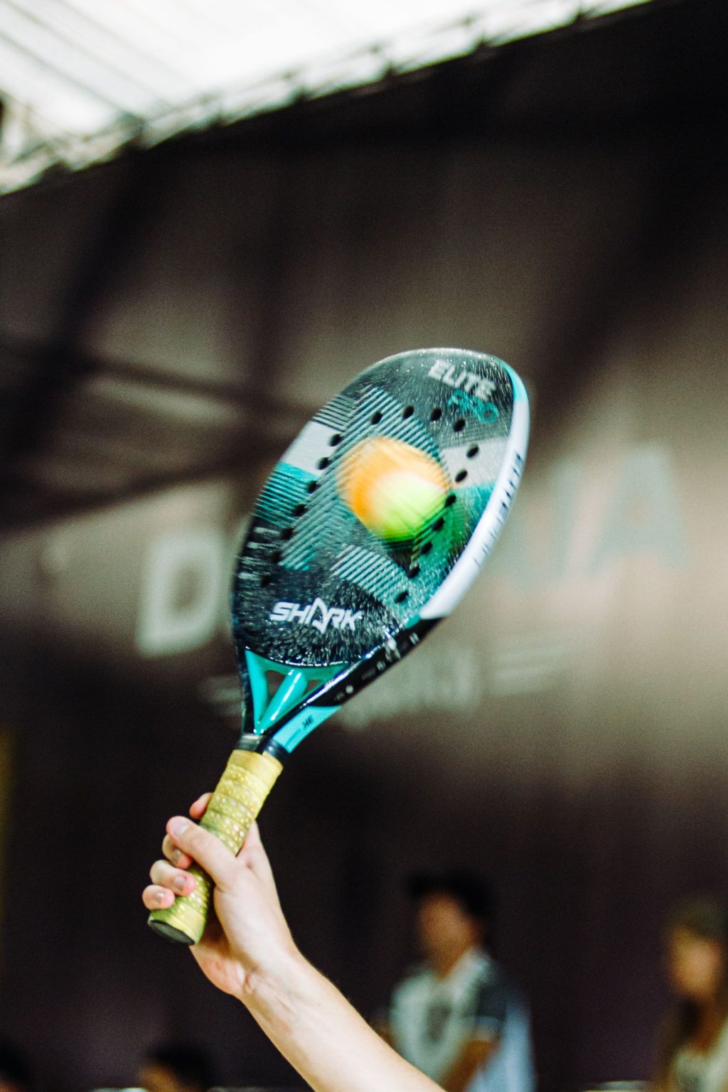 Paddle tennis players and court