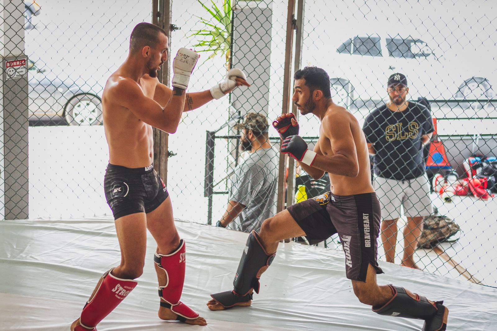Mixed martial artists sparring in a gym