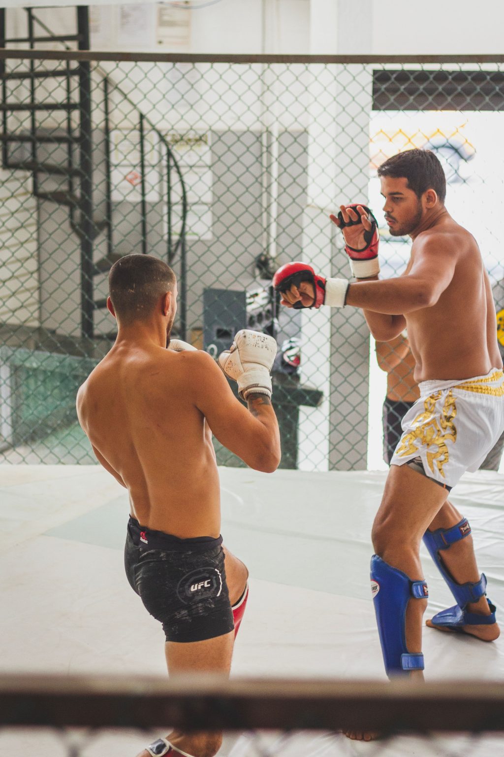 Two mixed martial arts athletes sparring during MMA training
