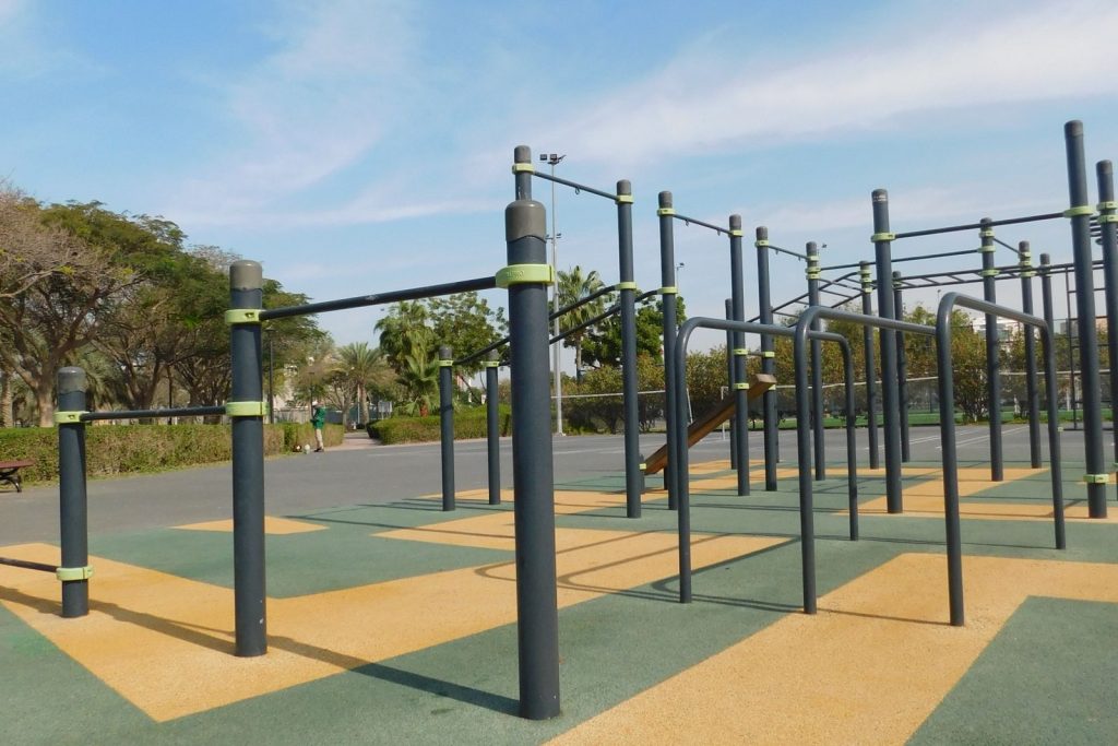 Calisthenics & Street Workout sports demo image