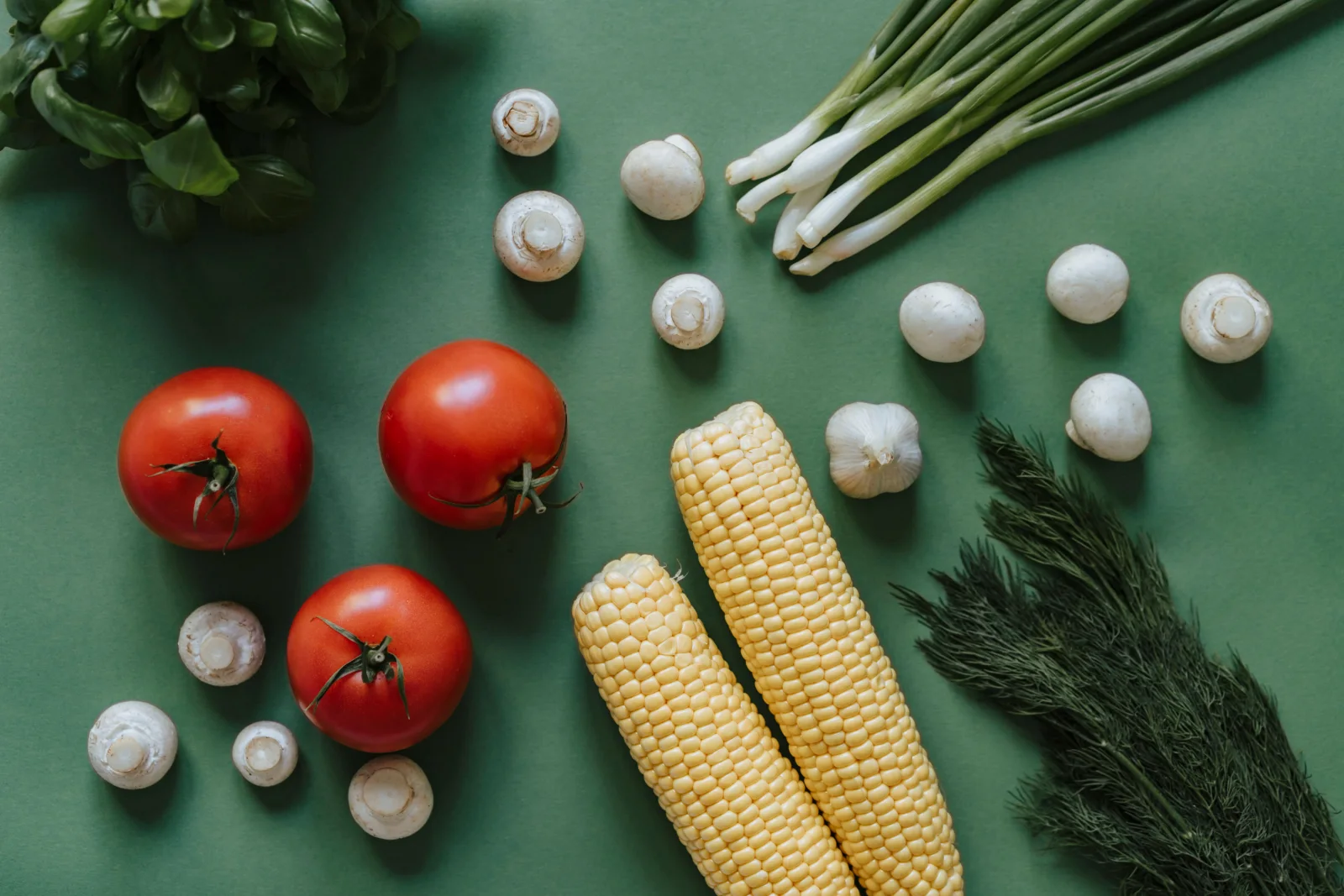 Fresh vegetables and healthy eating resources