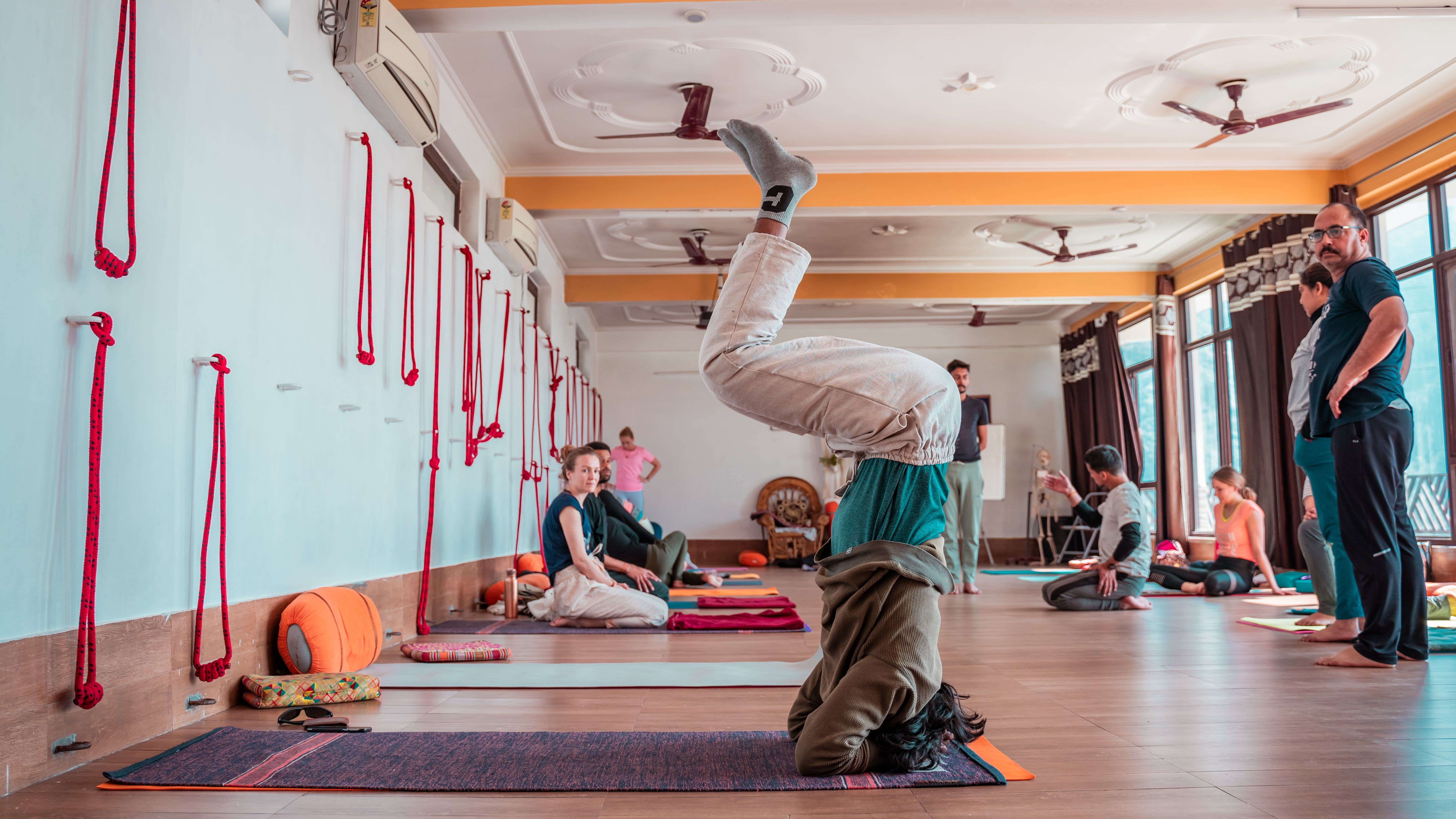 Yoga workshop participants practicing asanas