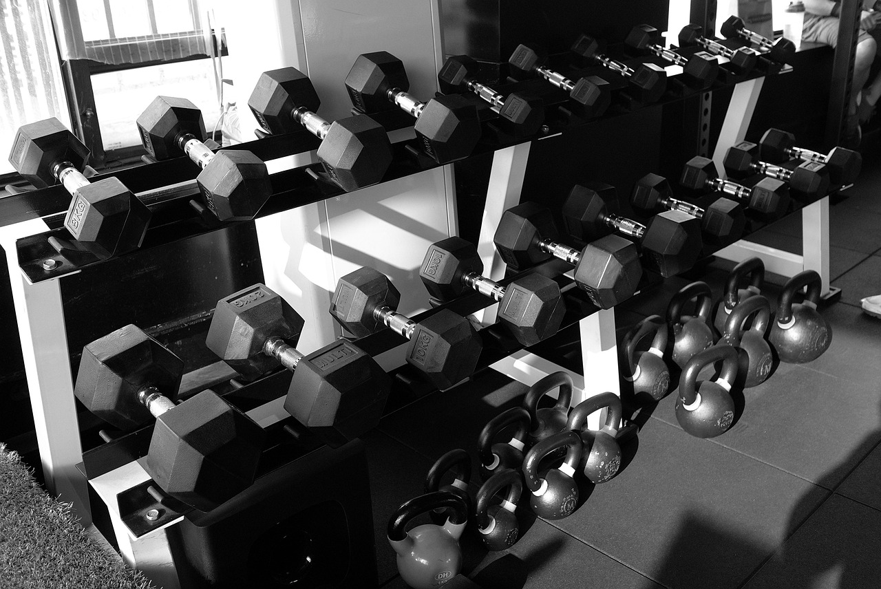 Build strength that shows up outside the gym. 3