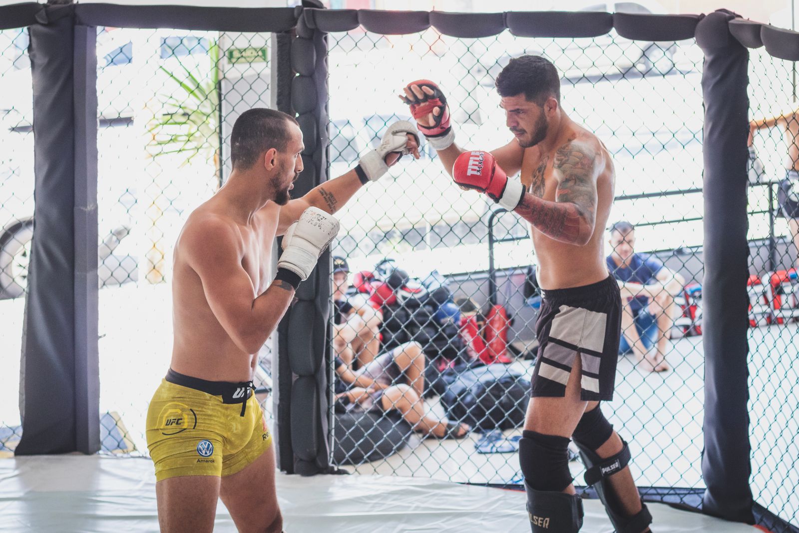 MMA fighters training inside a ring