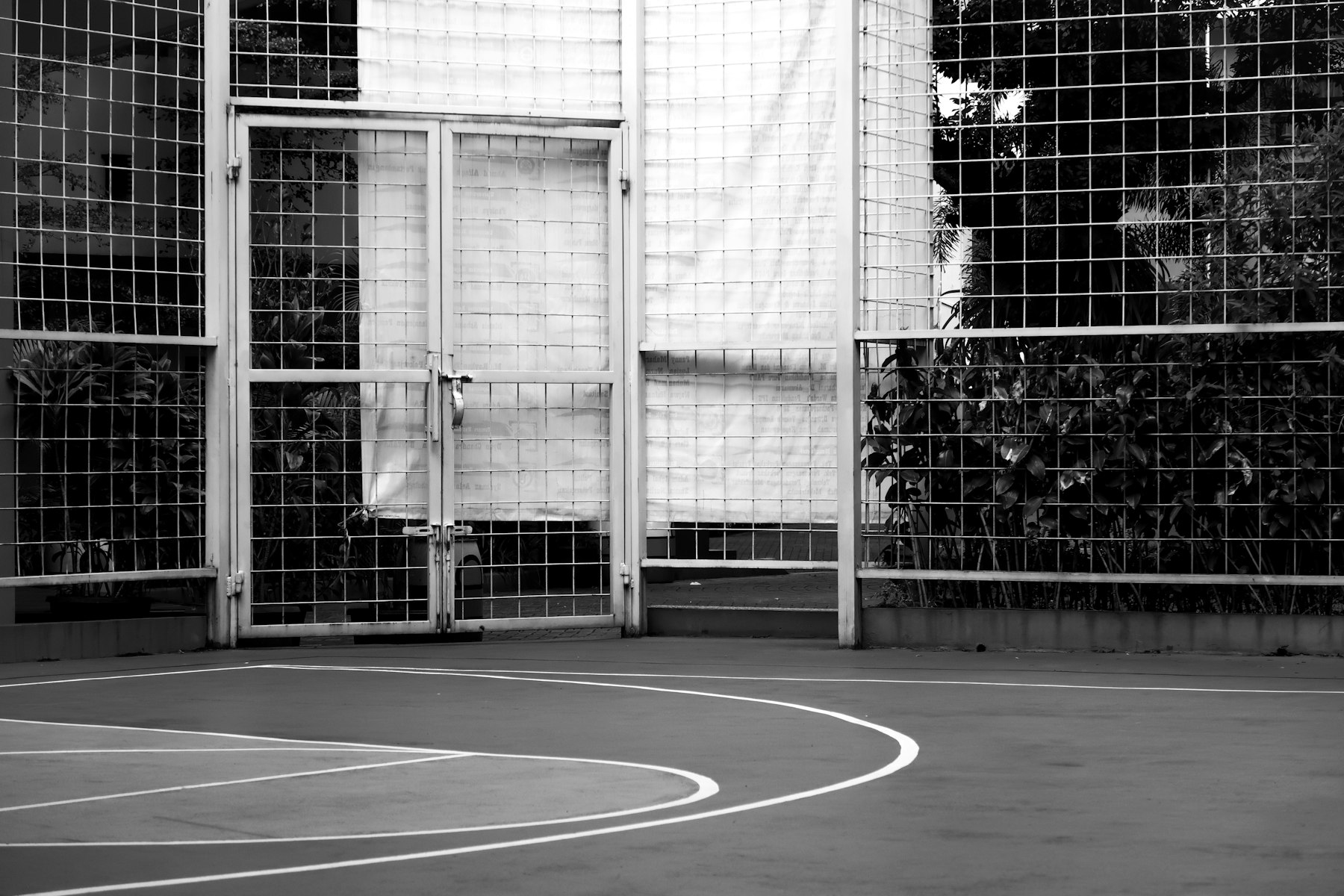 Different environments for different types of basketball