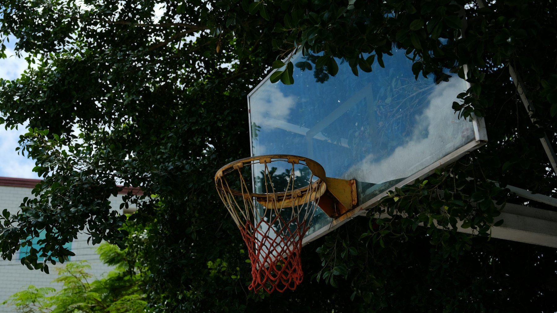 Make competition predictable enough to execute
