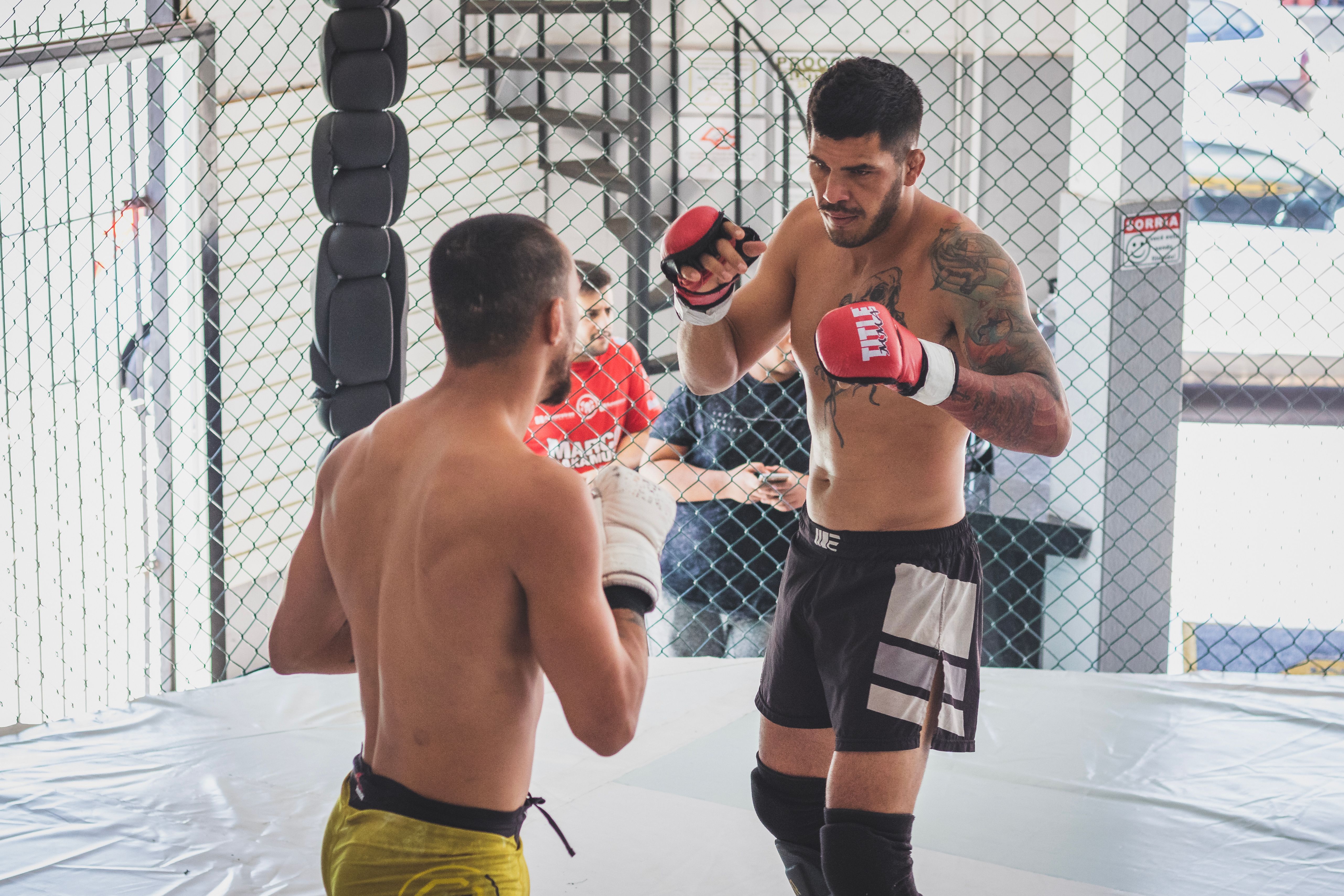 MMA athletes training together in a gym