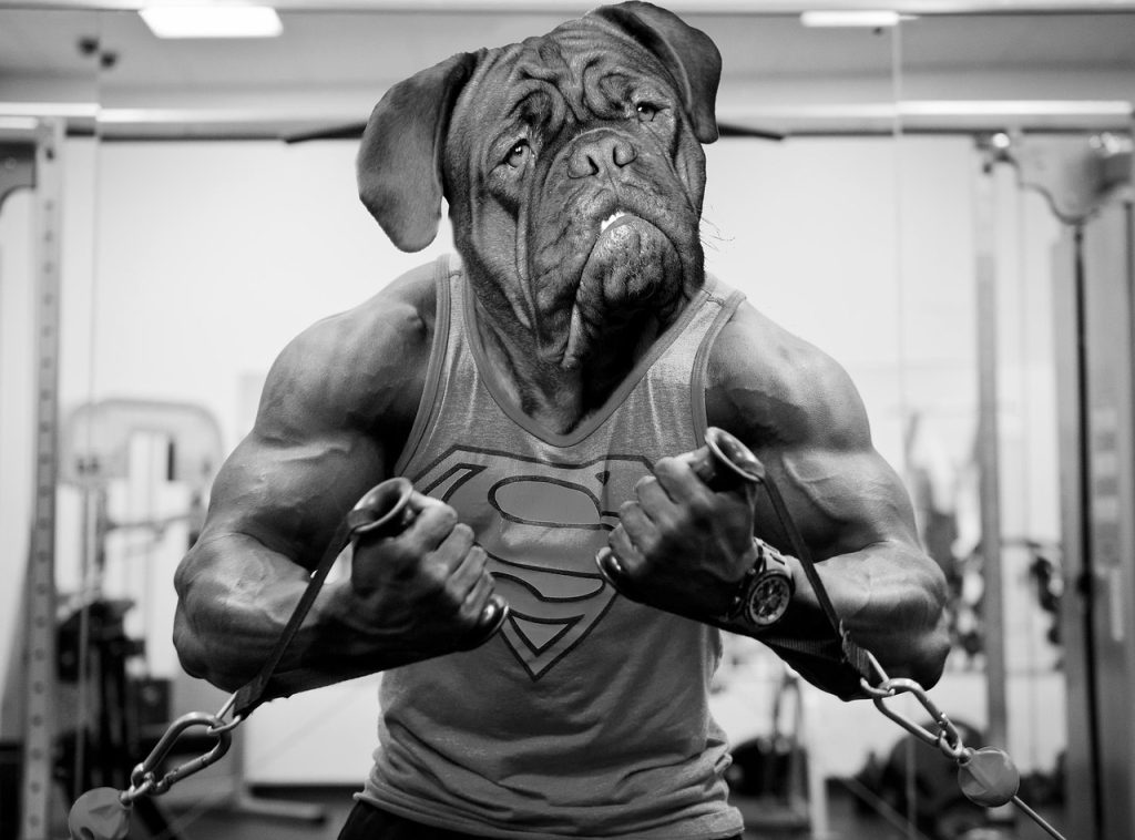 Cross-Training Gym – cross training workout gym