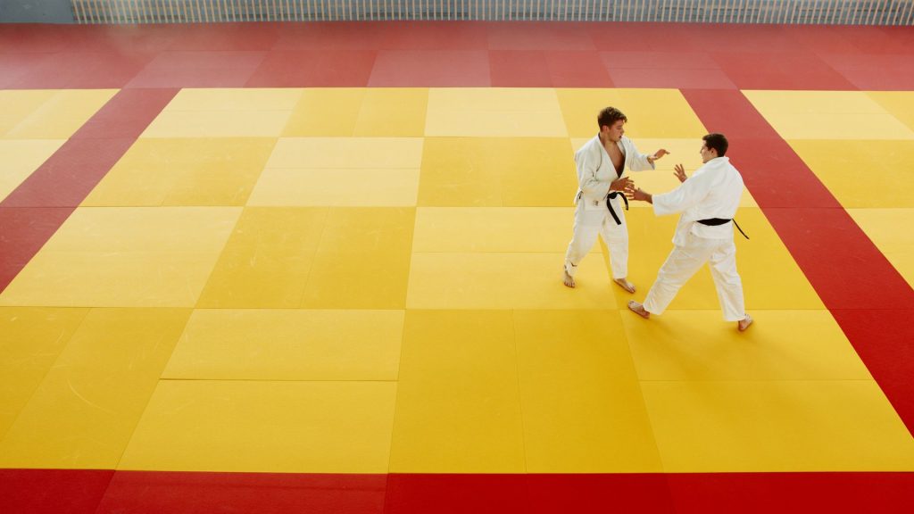 Judo Gym – judo training