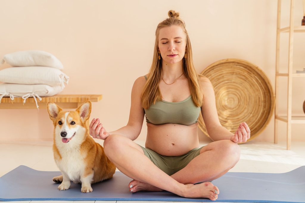 Prenatal & Postnatal Fitness Gym – pregnant woman exercise