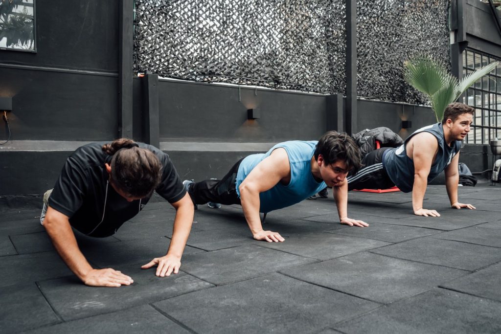 Fitness Franchise Gym Premium