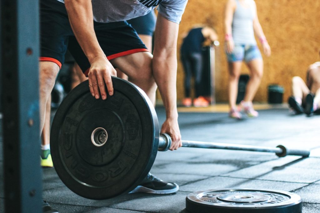 Fitness Franchise Gym Premium