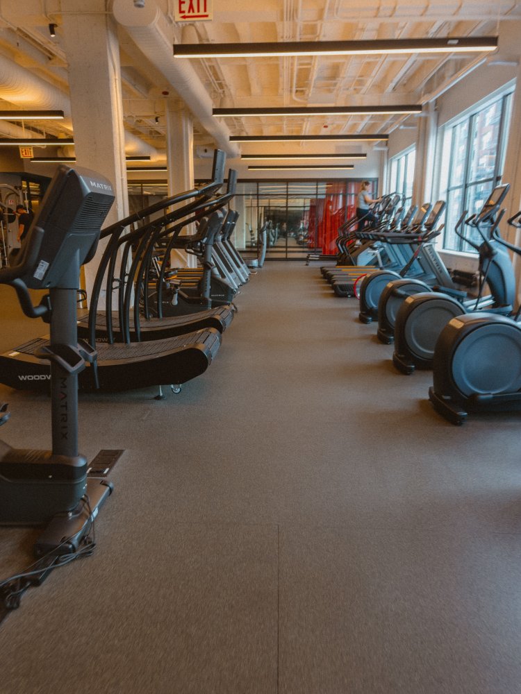TRX Suspension Gym Movement Coach