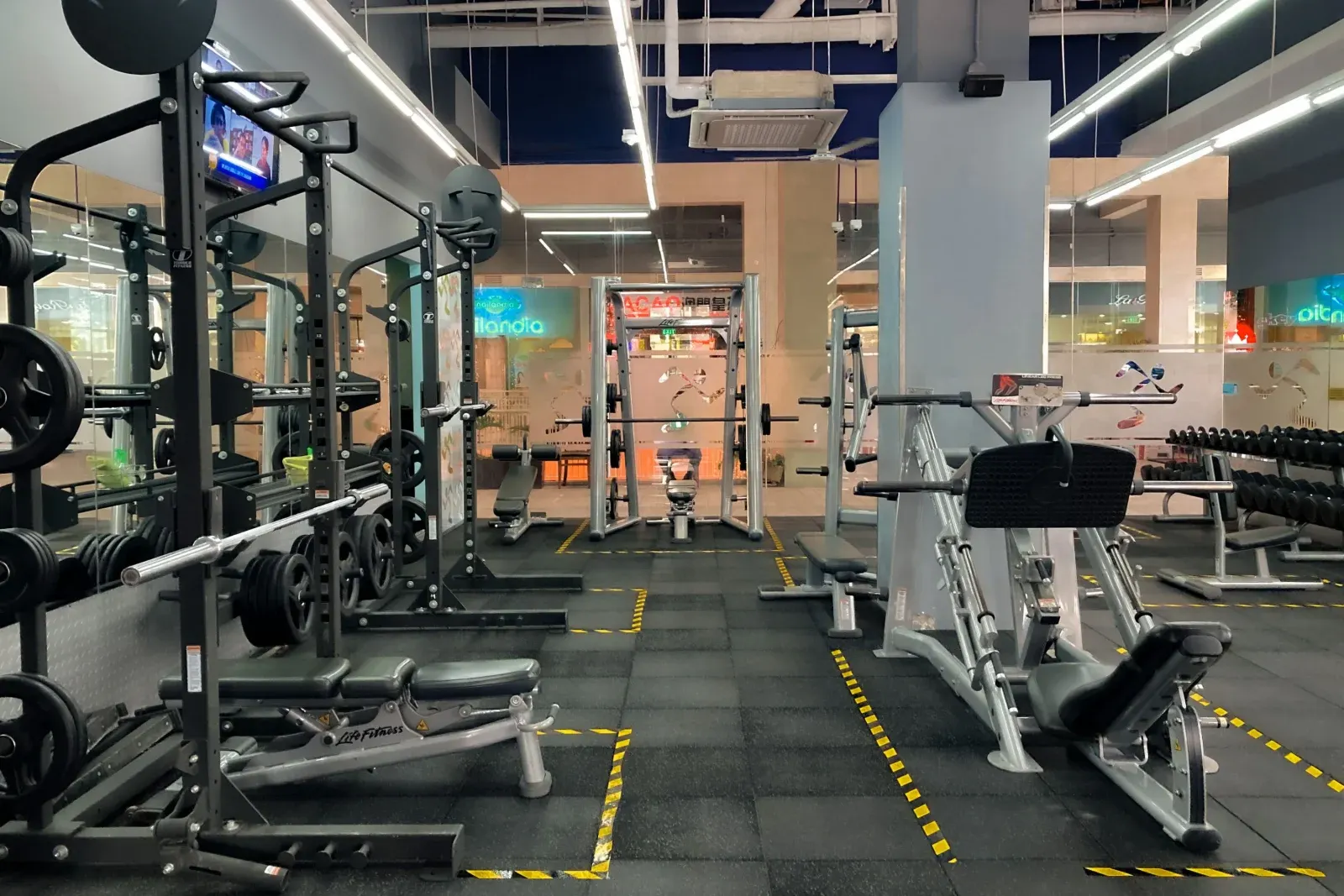 Modern gym floor with professional strength and cardio equipment