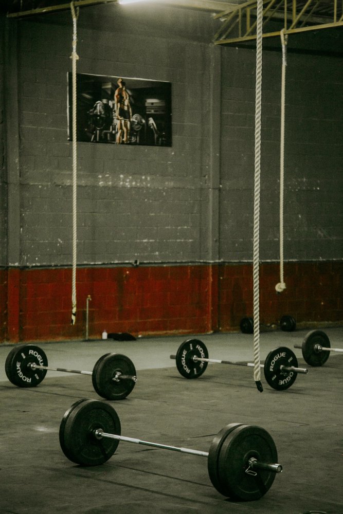 Budget Fitness Gym Premium