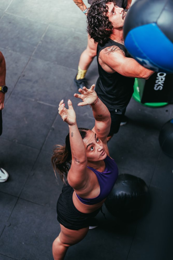 Fitness Franchise Gym Premium