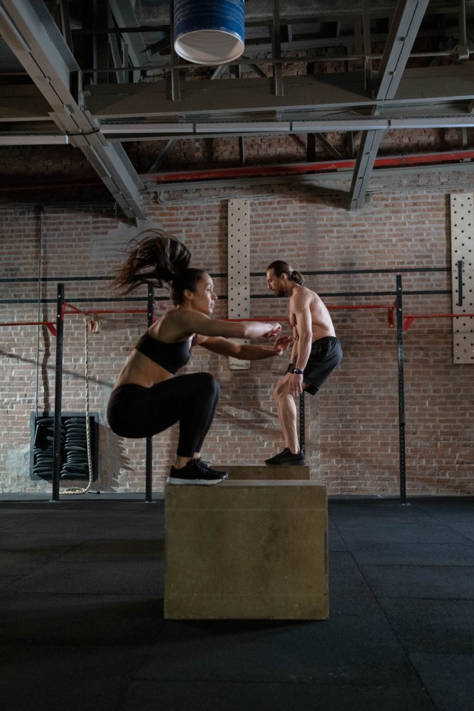 Fitness Franchise Gym Premium