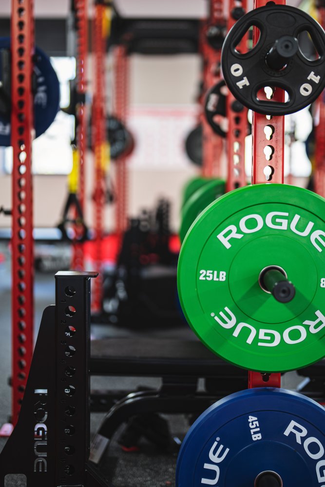Garage Gym Premium
