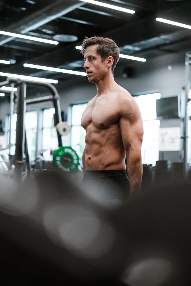 Body Transformation Gym Premium