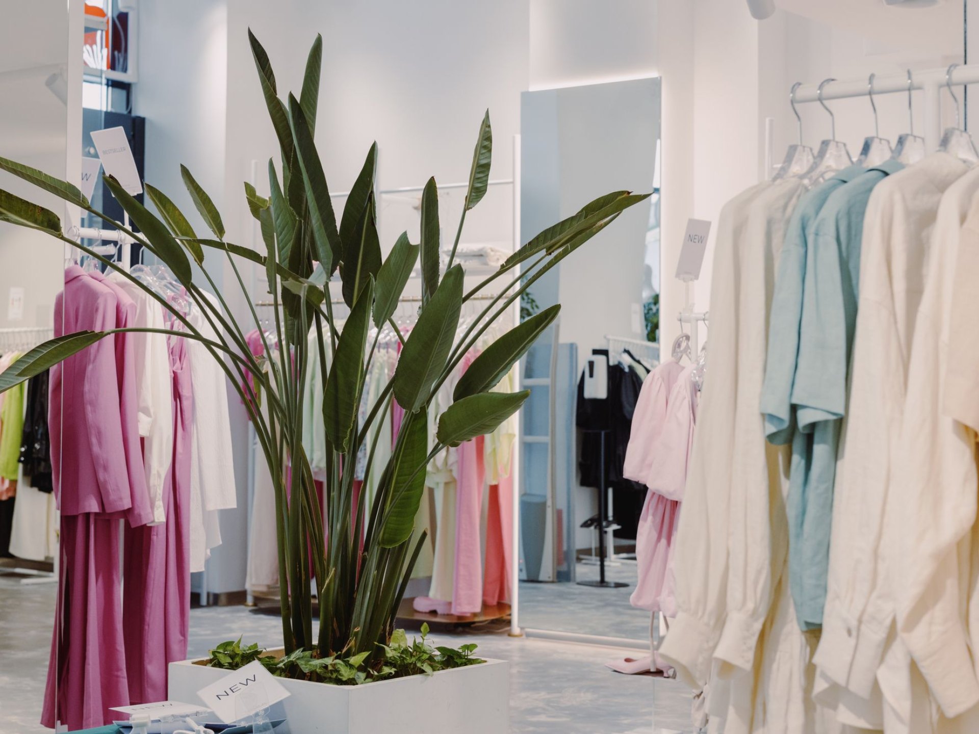 Fashion & Lifestyle