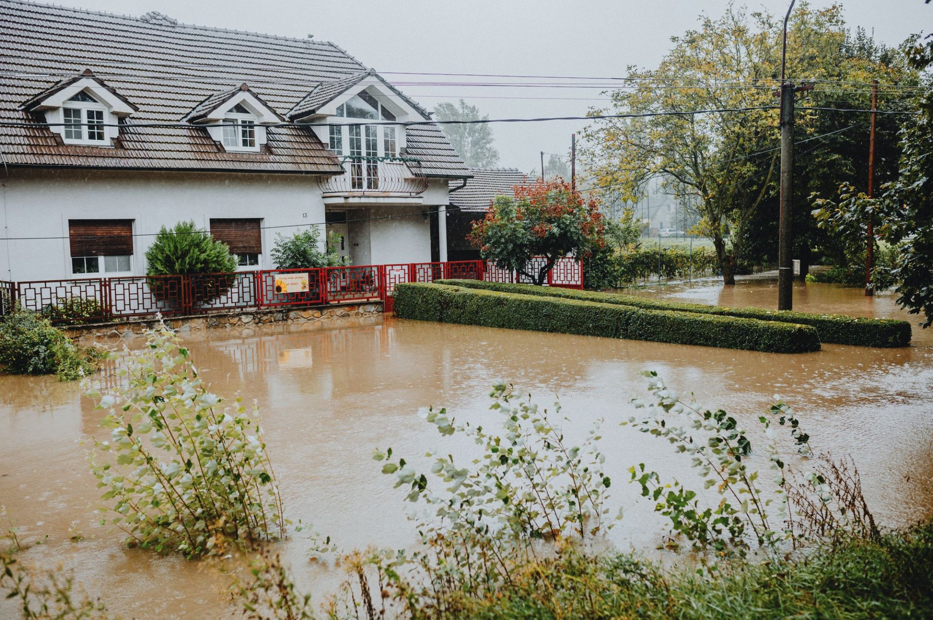 Nexolume Insurance - Coverage: What to Know Before You Decide