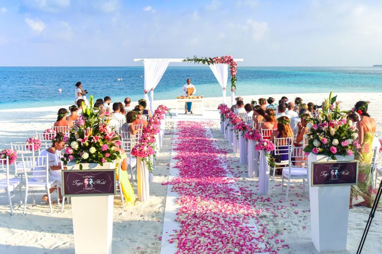 Nexolume Wedding & Events live WordPress demo preview
