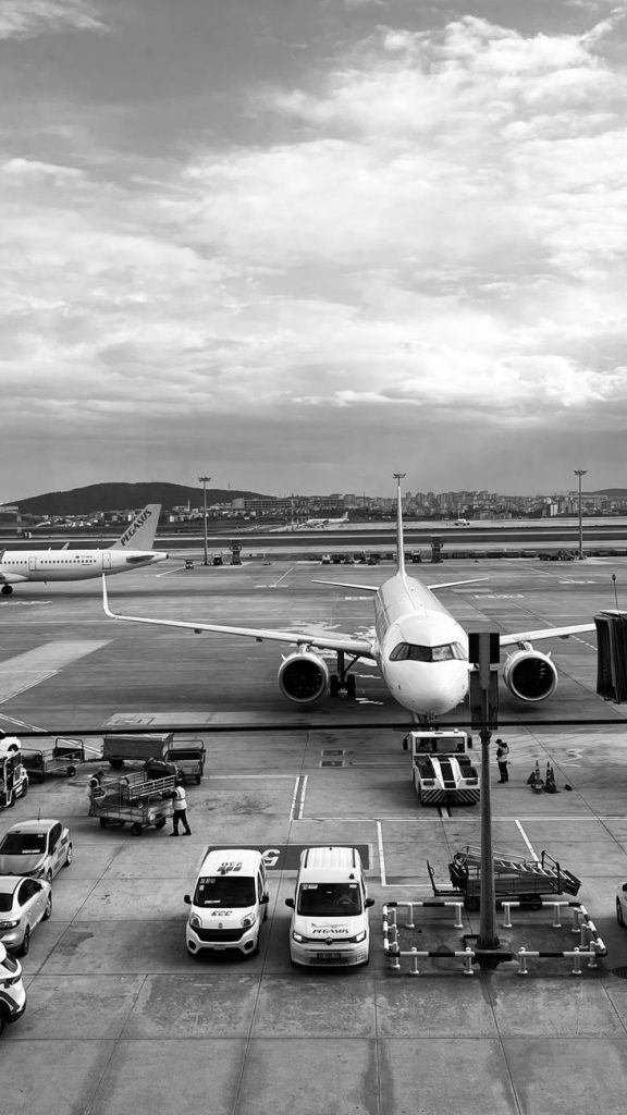 Air Travel & Airline Booking