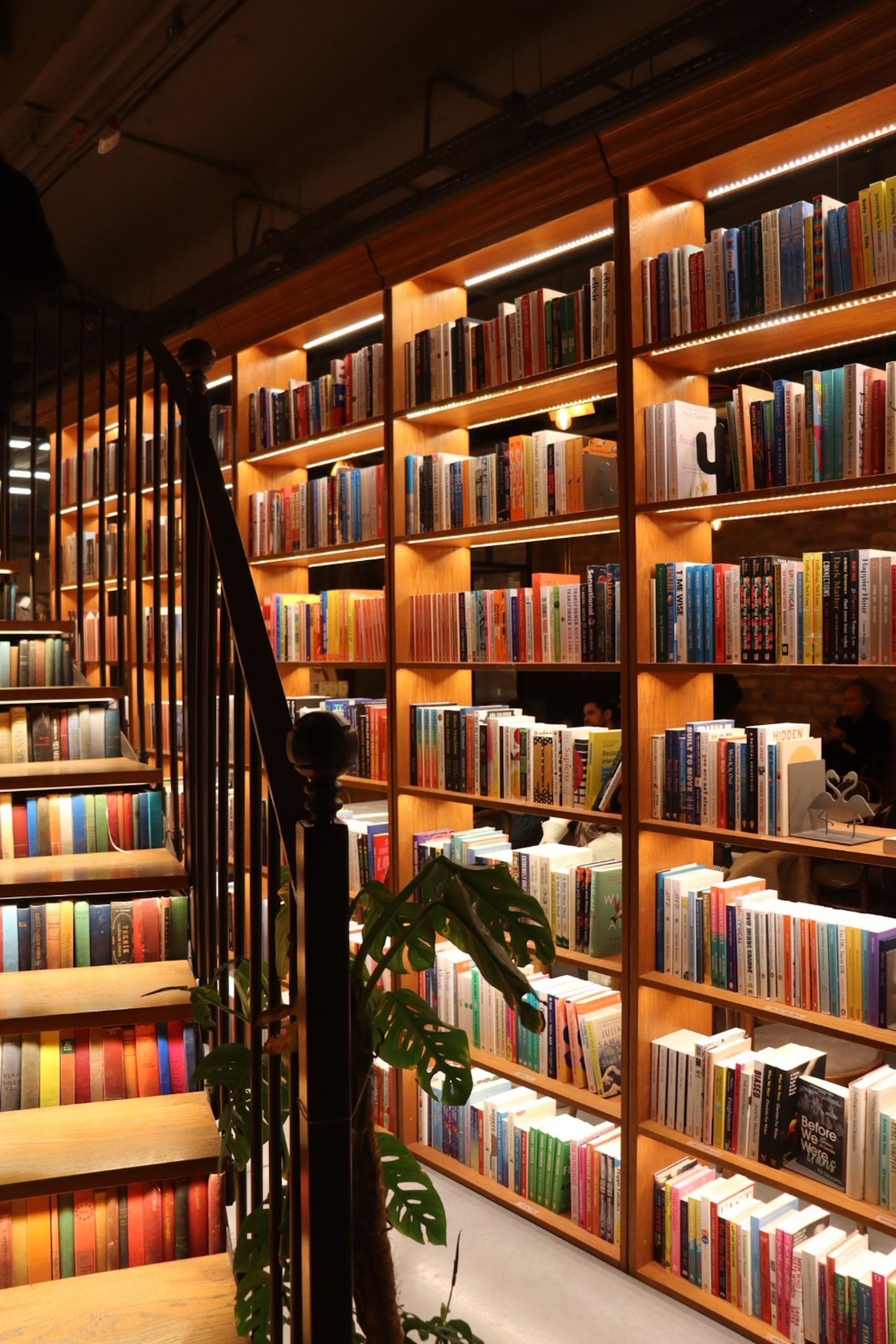 Curated shelves, thoughtful recommendations