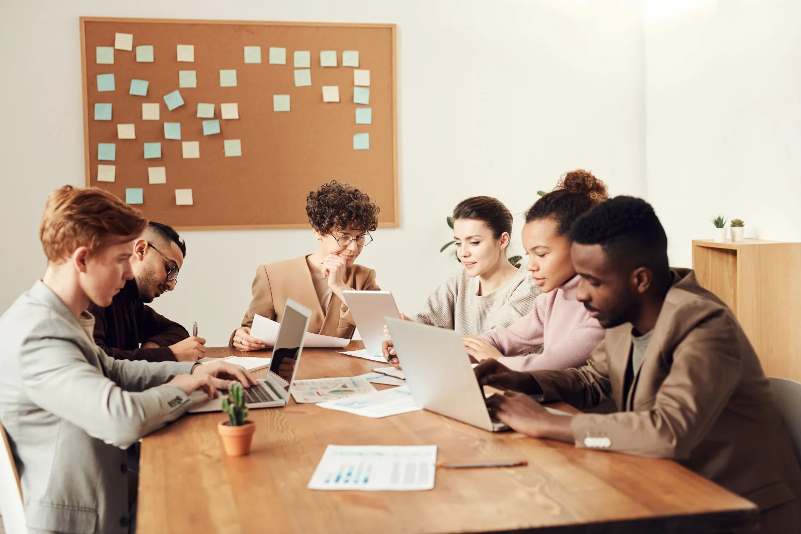 Nexolume Business Consulting Premium 47