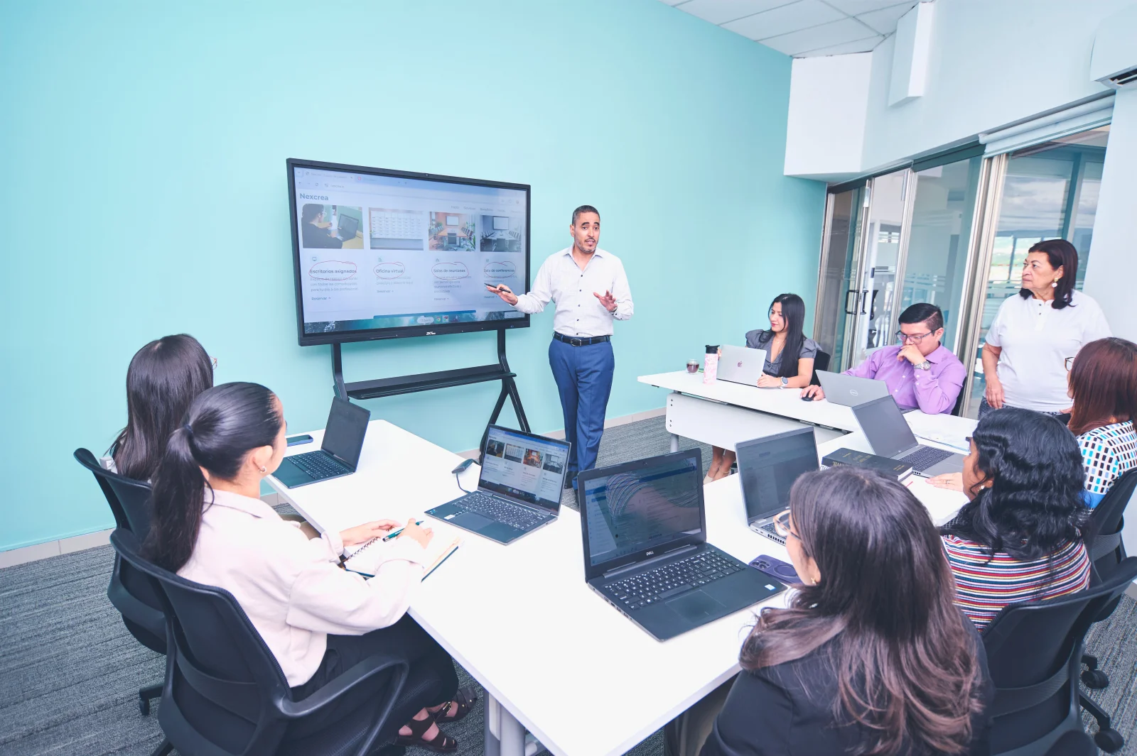 Nexolume Business Consulting Premium 7