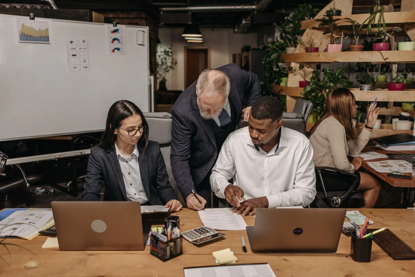 Nexolume Business Consulting Premium 36