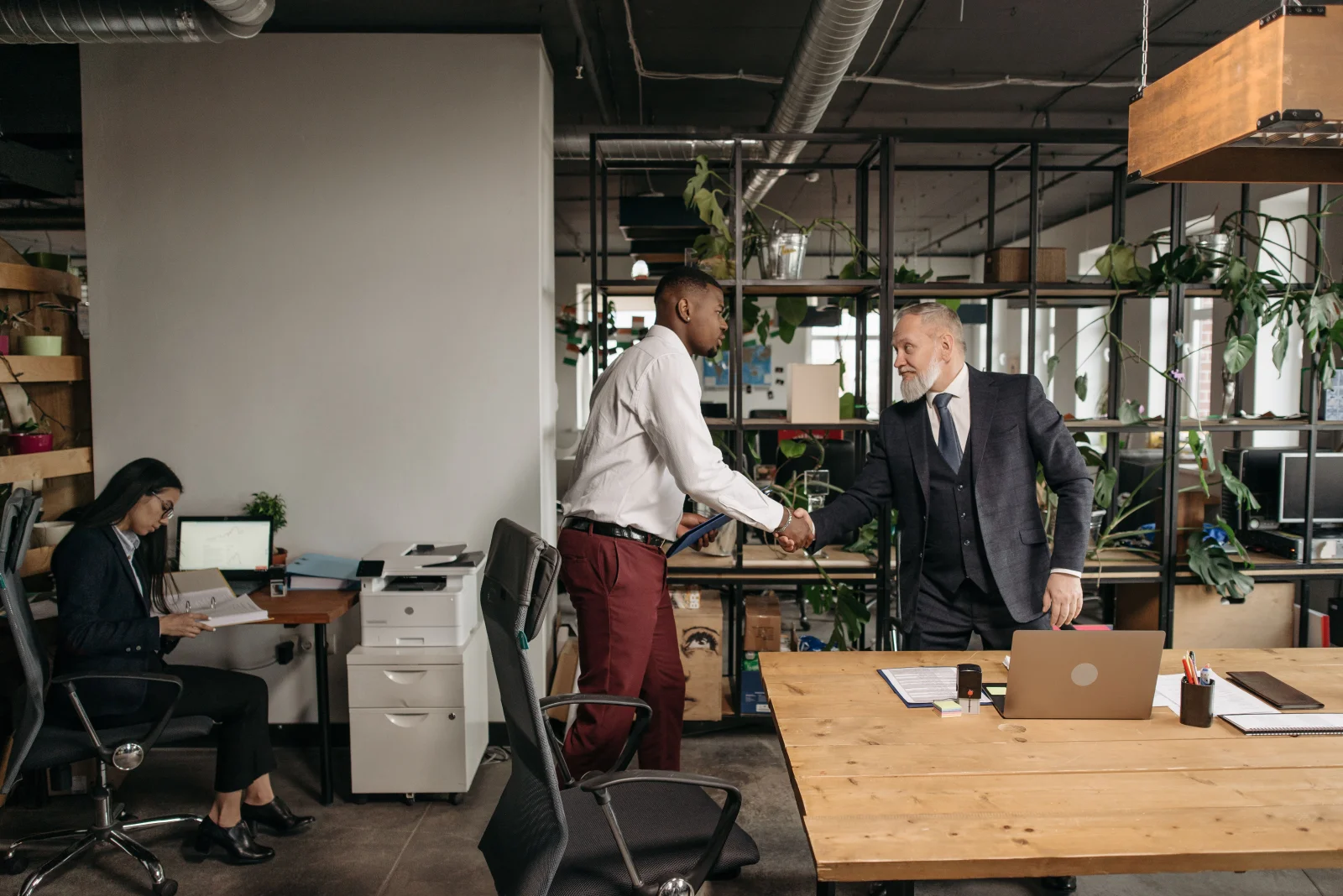 Nexolume Business Consulting Premium 19