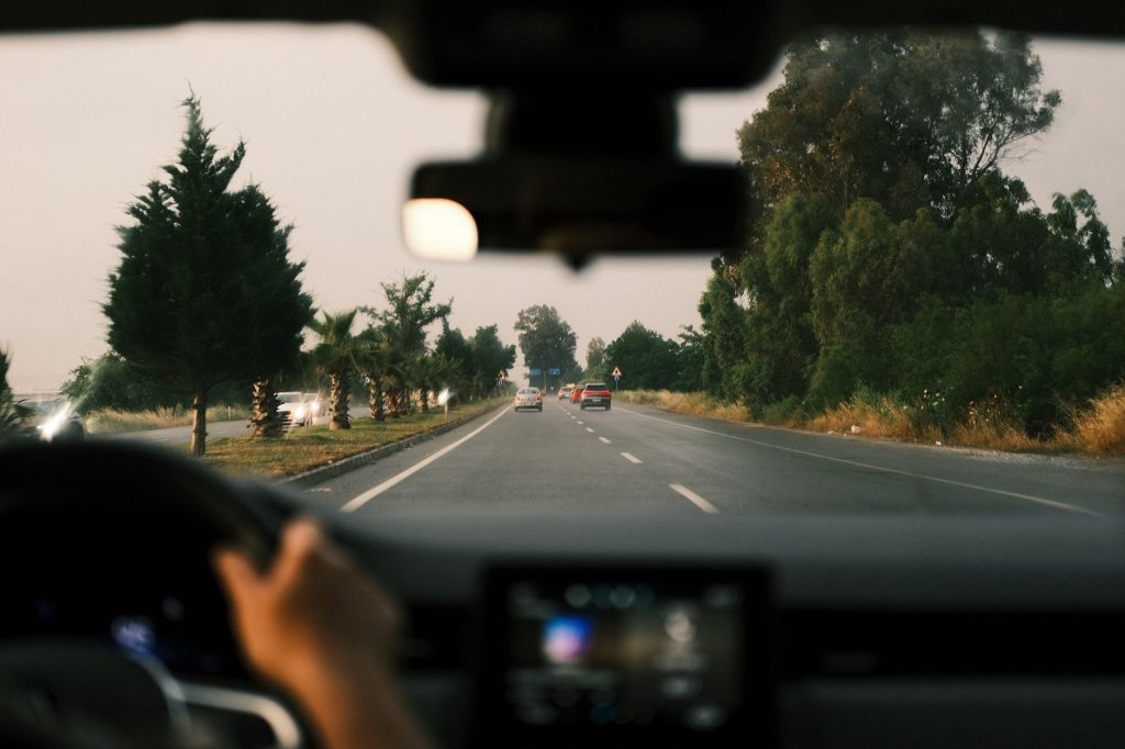 Professional Car Driving School