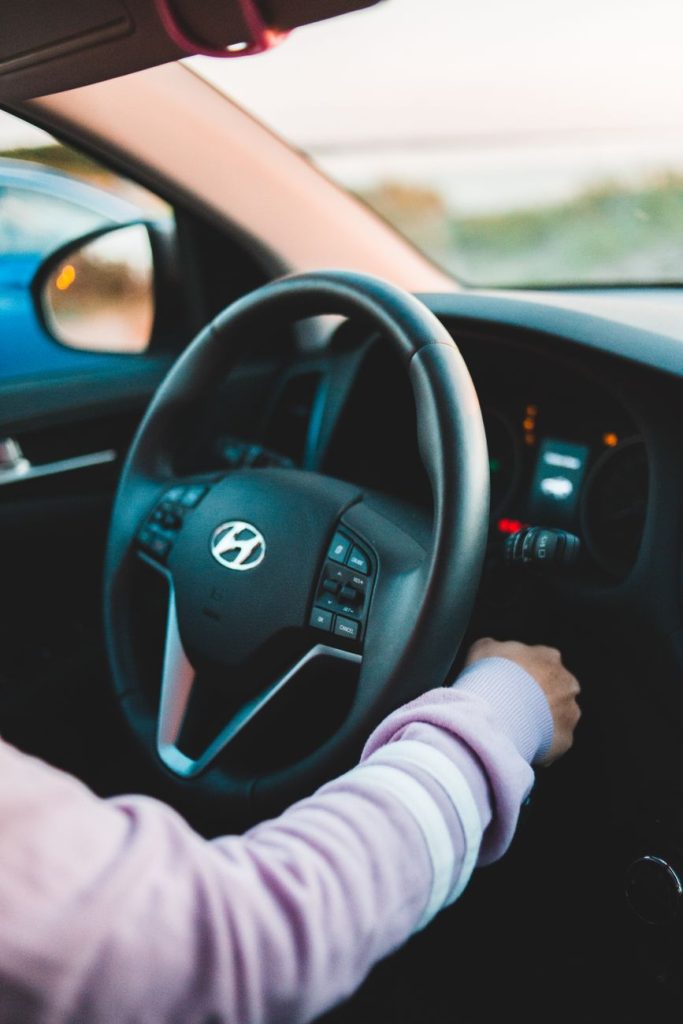 Professional Car Driving School