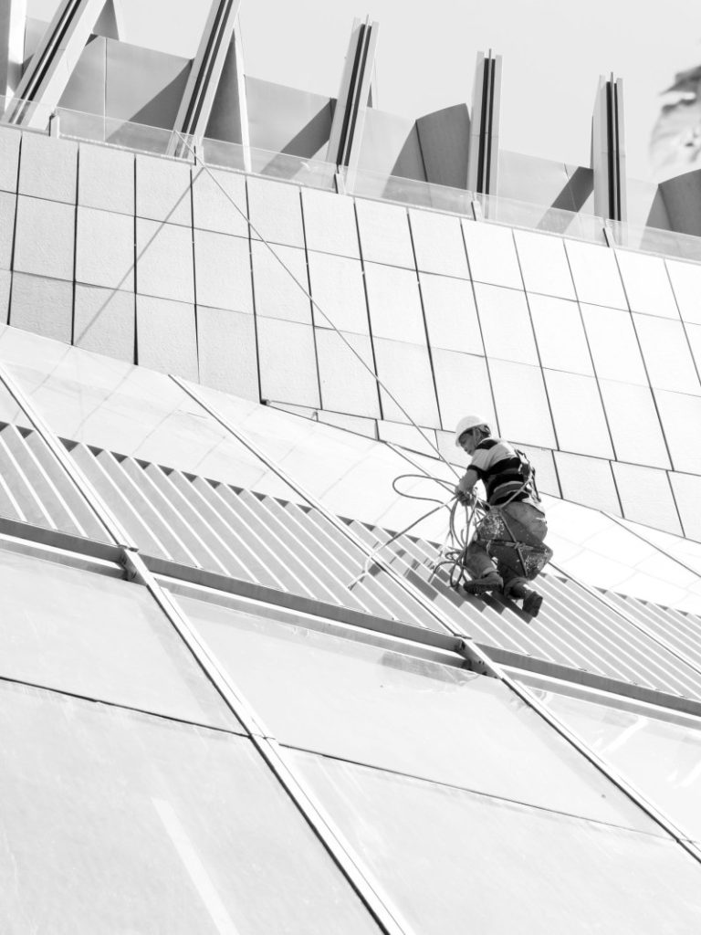 Nexolume Carpet & Window Cleaning Services live WordPress demo preview