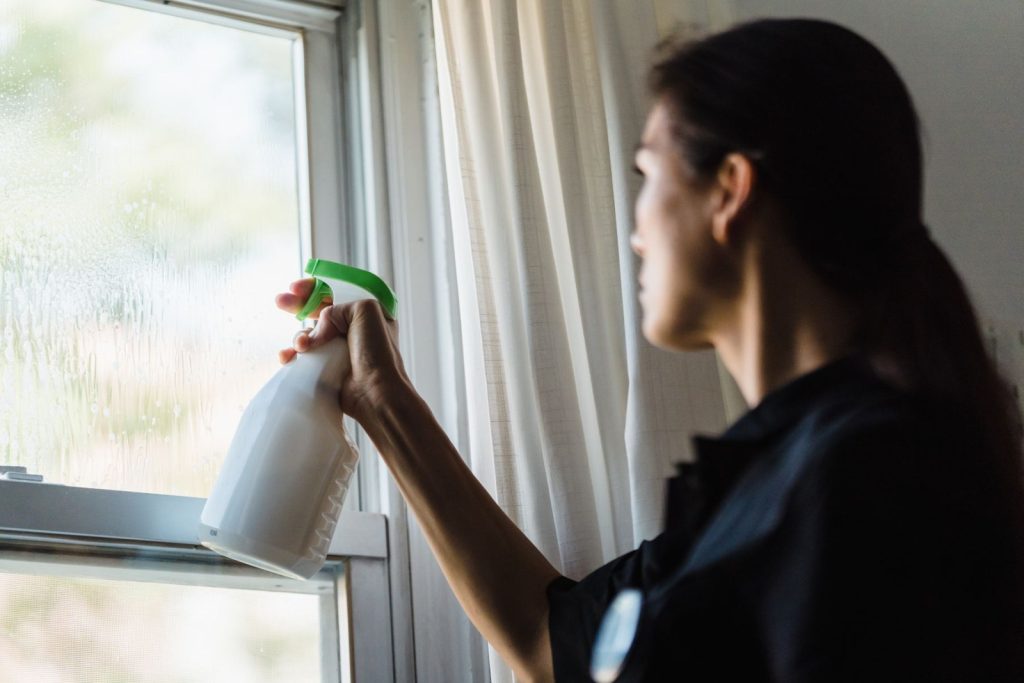 Nexolume Carpet Window Cleaning Woman Cleaning Window Glass