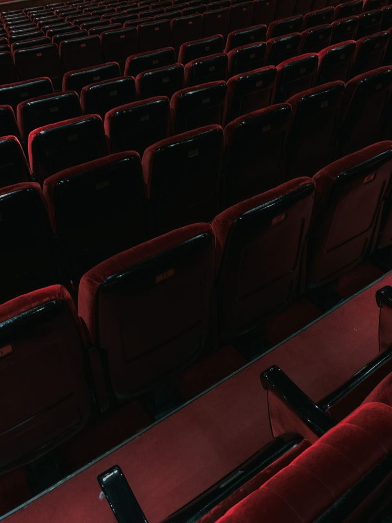 Professional Cinema & Theater