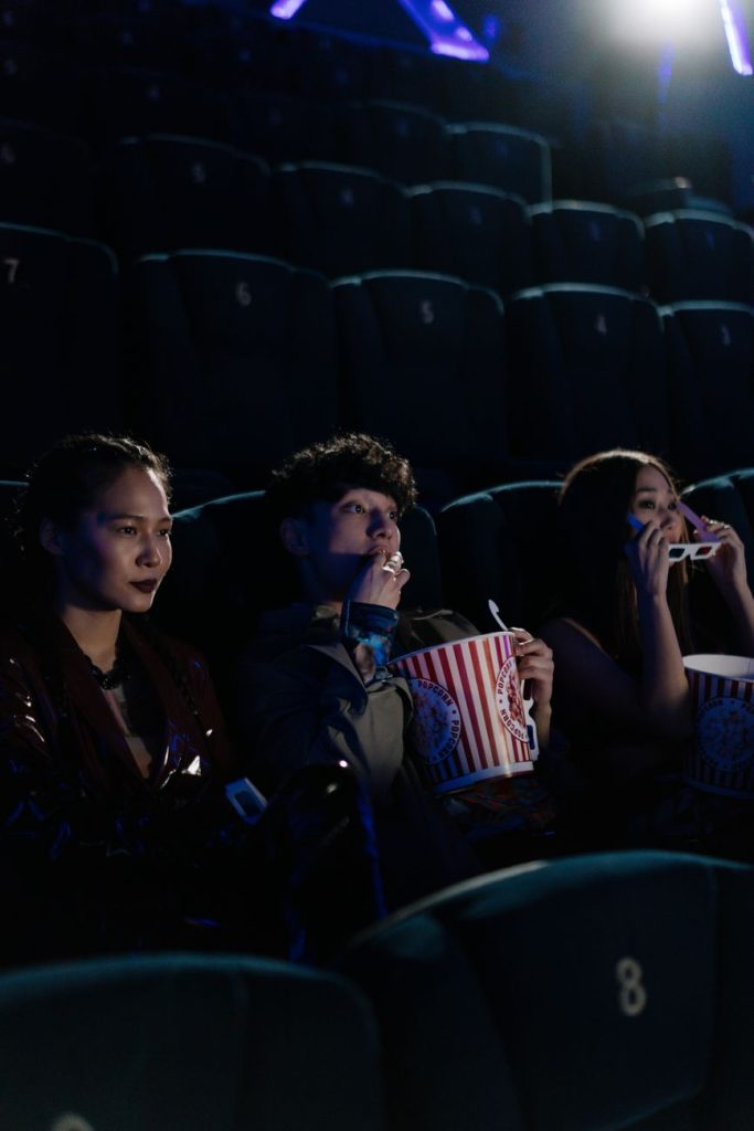 Professional Cinema & Theater