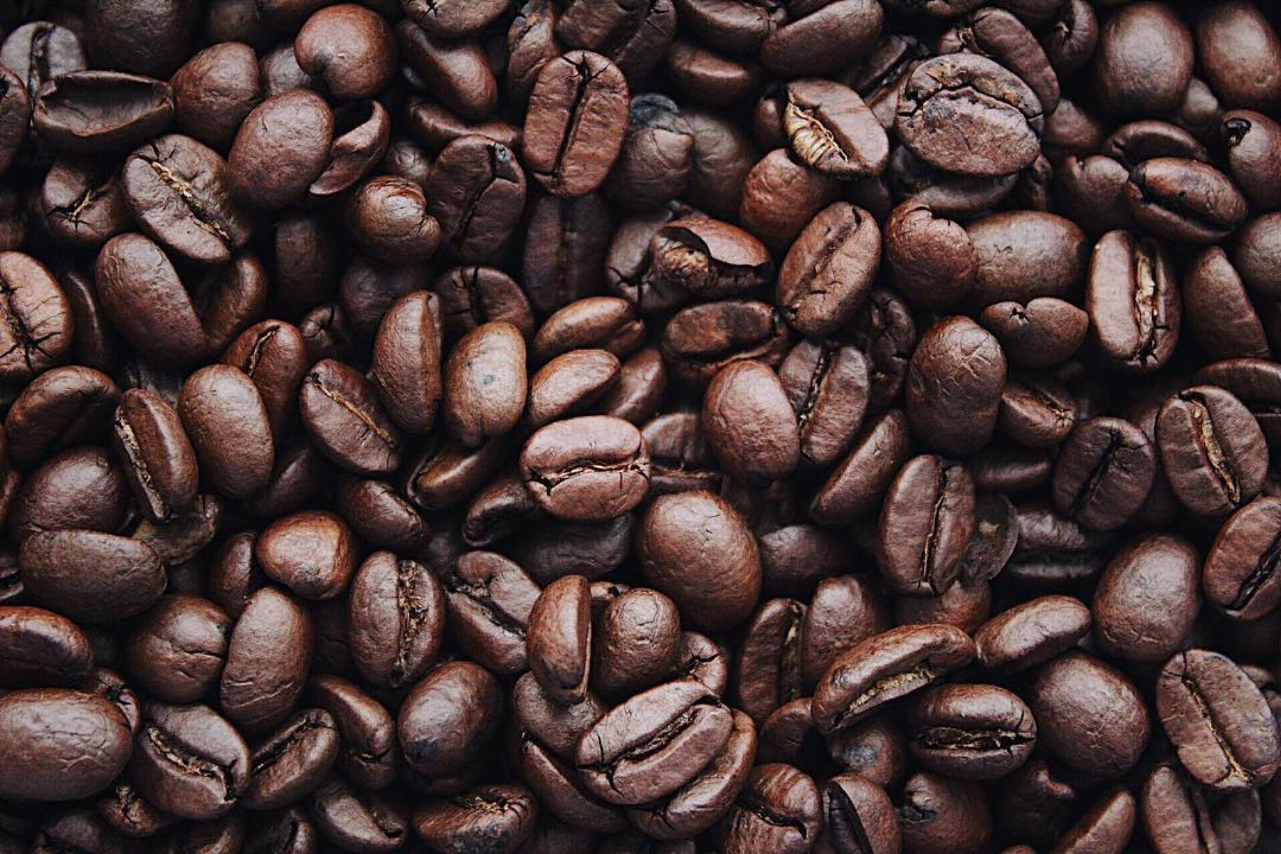 Coffee shop