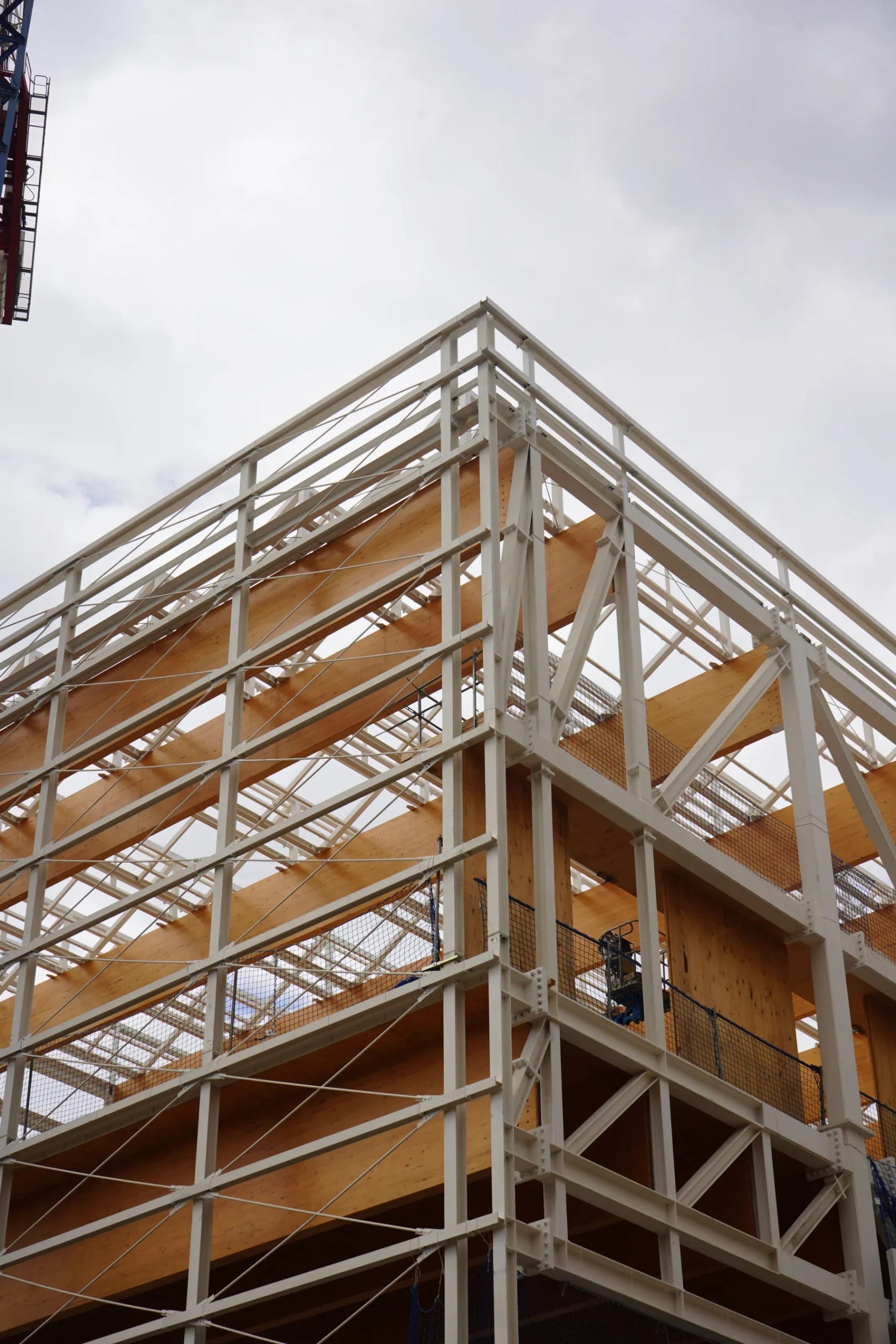 Nexolume Construction