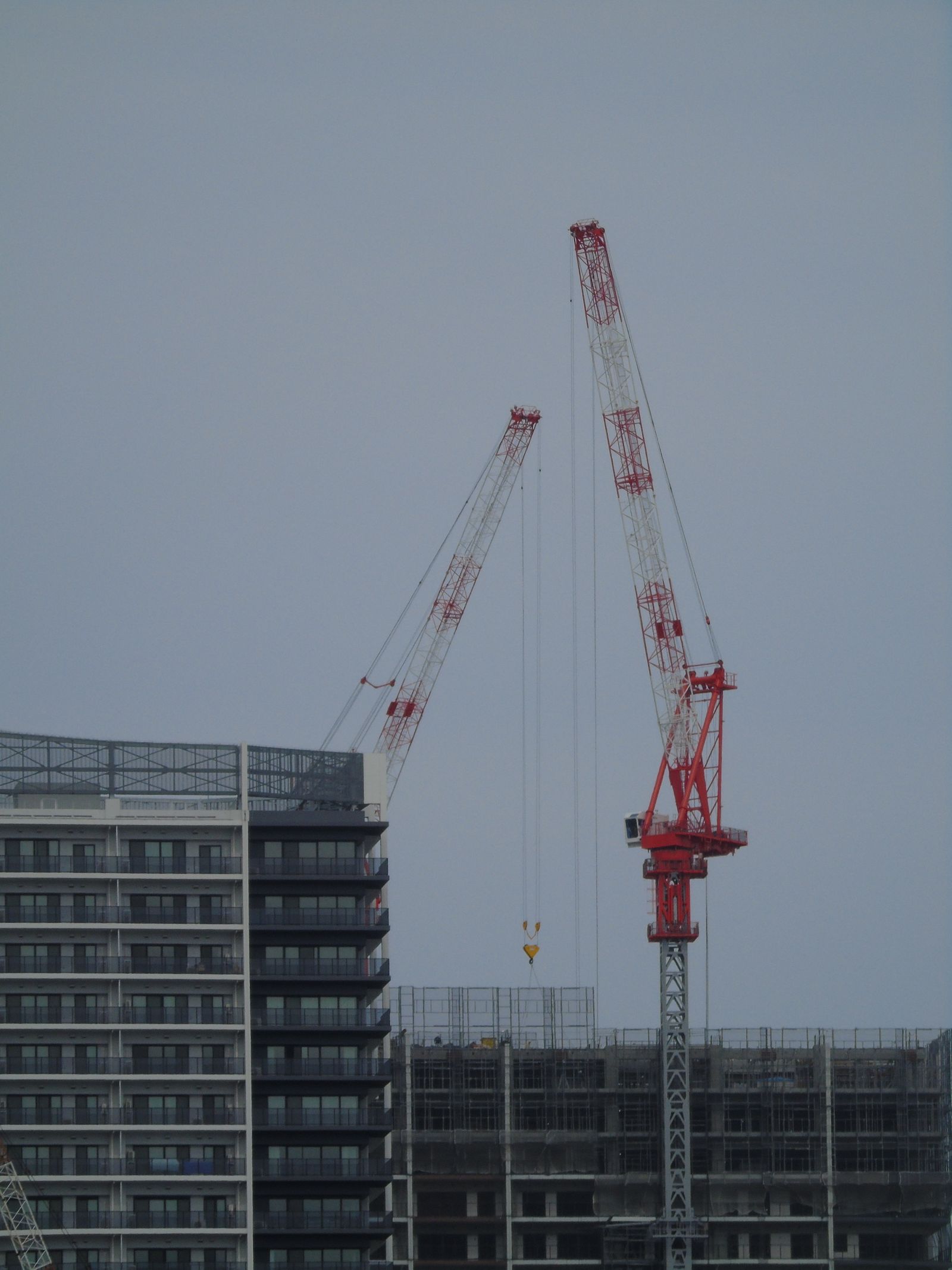 Nexolume Construction