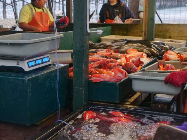 Nexolume Fish Market & Seafood Store live WordPress demo preview
