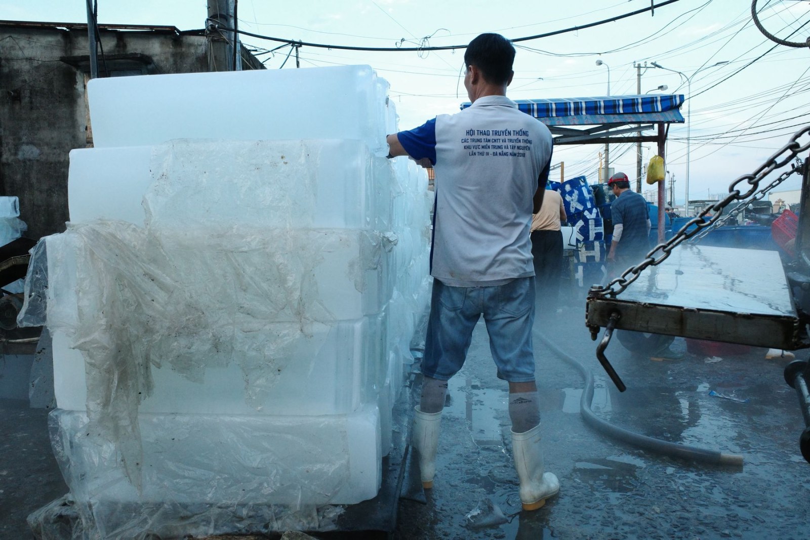 Ice Factory with clear choices, useful detail and premium presentation.