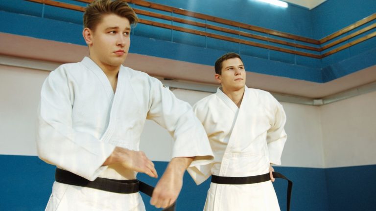 Nexolume Judo Academy live WordPress demo preview