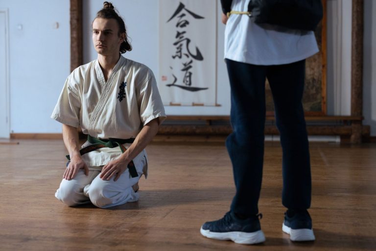 Nexolume Martial Arts Academy live WordPress demo preview