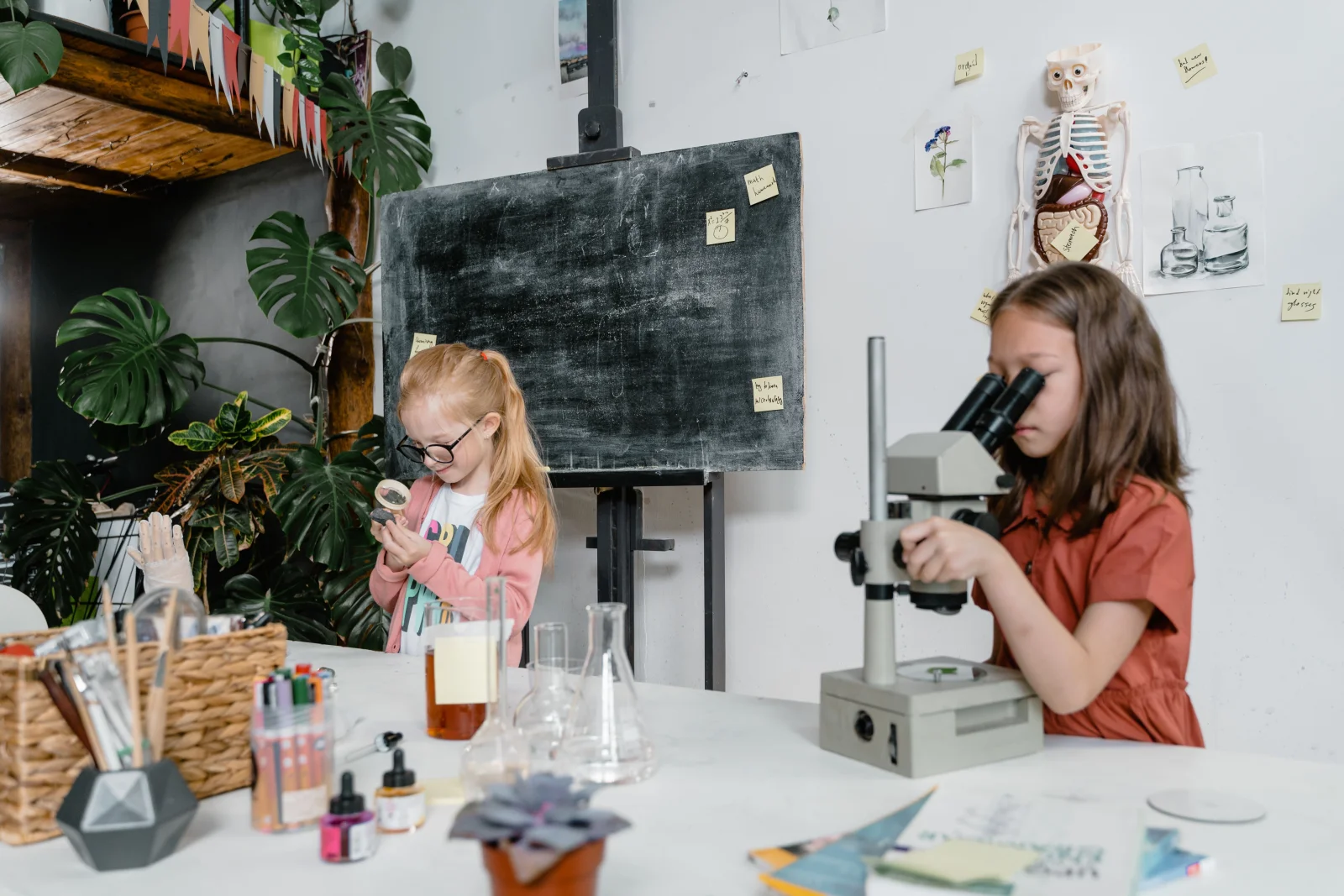 Nexolume Education